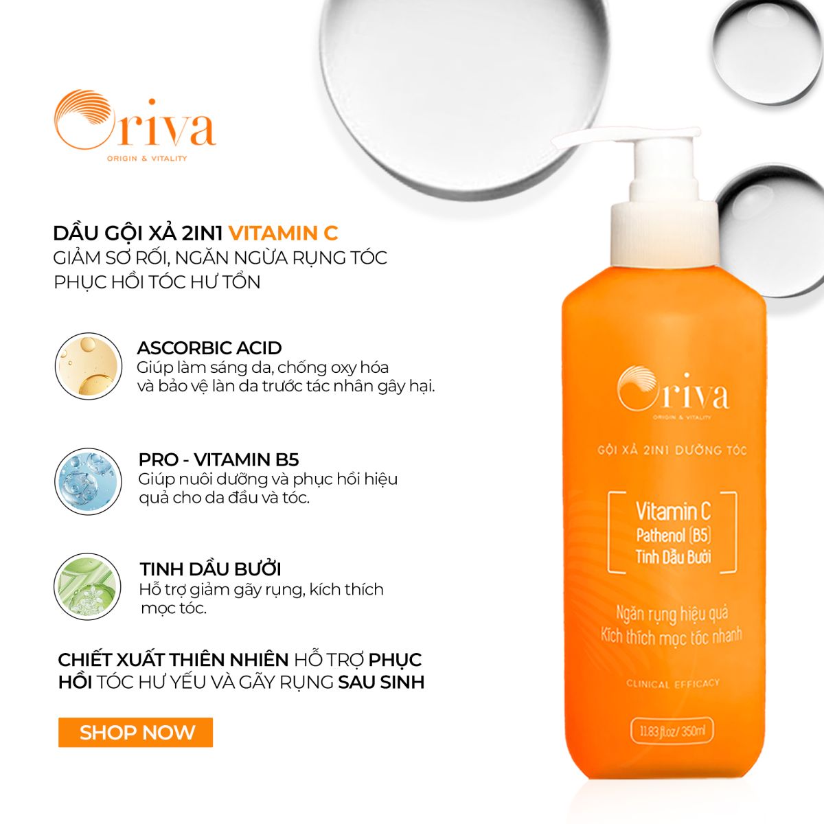 Dầu gội xả 2in1 